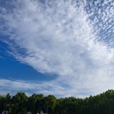 秦皇江湖之王者霸业ol游戏