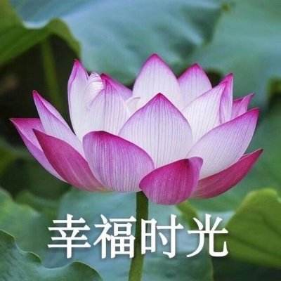 魔王咖啡屋最新版下载
